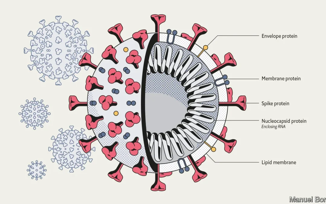 Záhadný vírus: Hľadanie Sars-CoV-2