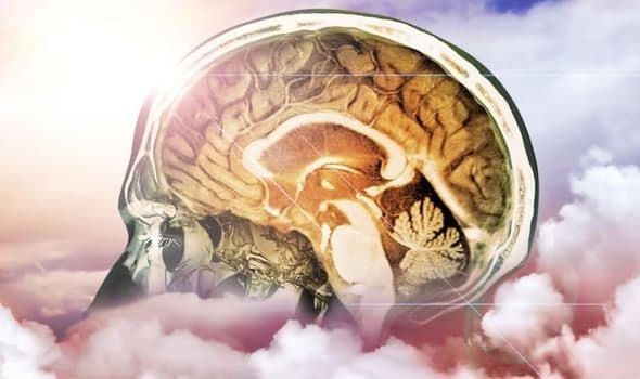 Prečo materialisticky zmýšľajúci človek nedokáže pochopiť pojmy ako Pravda Božia a Stvoriteľ? Odpoveď je zložitá len zdanlivo!