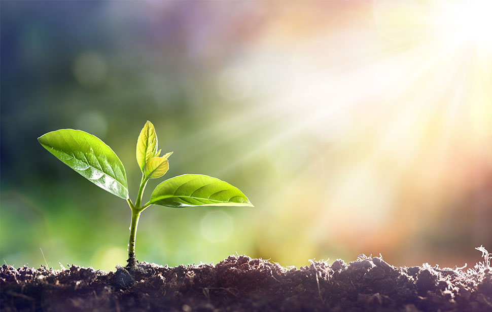 Všetko bude nové! Kedy? Keď staré padne!