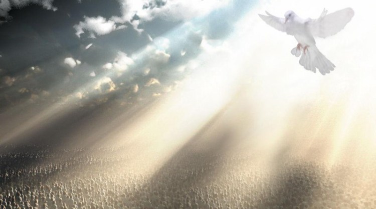 Vysvetlenie mystéria pojmu Syn Človeka