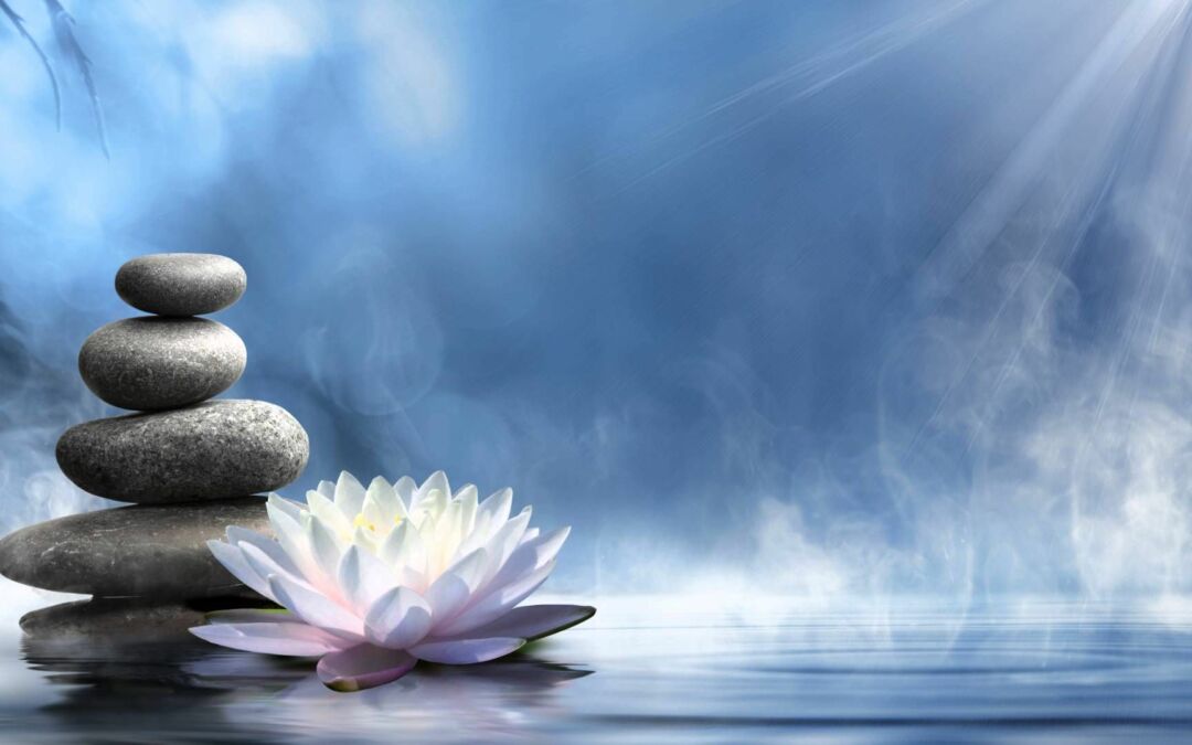 Princíp harmónie a zmysel pre krásu