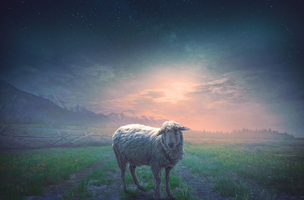 Neznalosť Božích zákonov neospravedlňuje