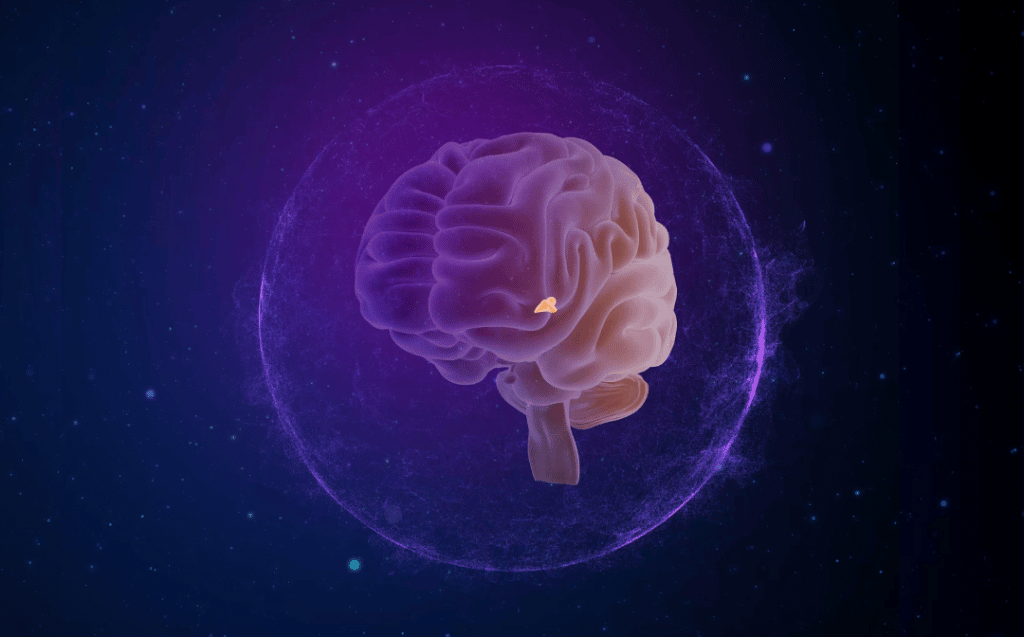 Vplyv fluoridu na epifýzu človeka a jeho použitie v nacistickom Nemecku