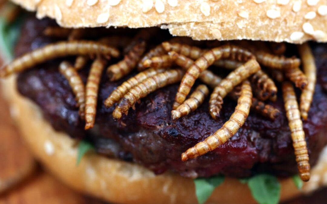 Prečo médiá práve teraz tak intenzívne propagujú hmyz v potravinách?