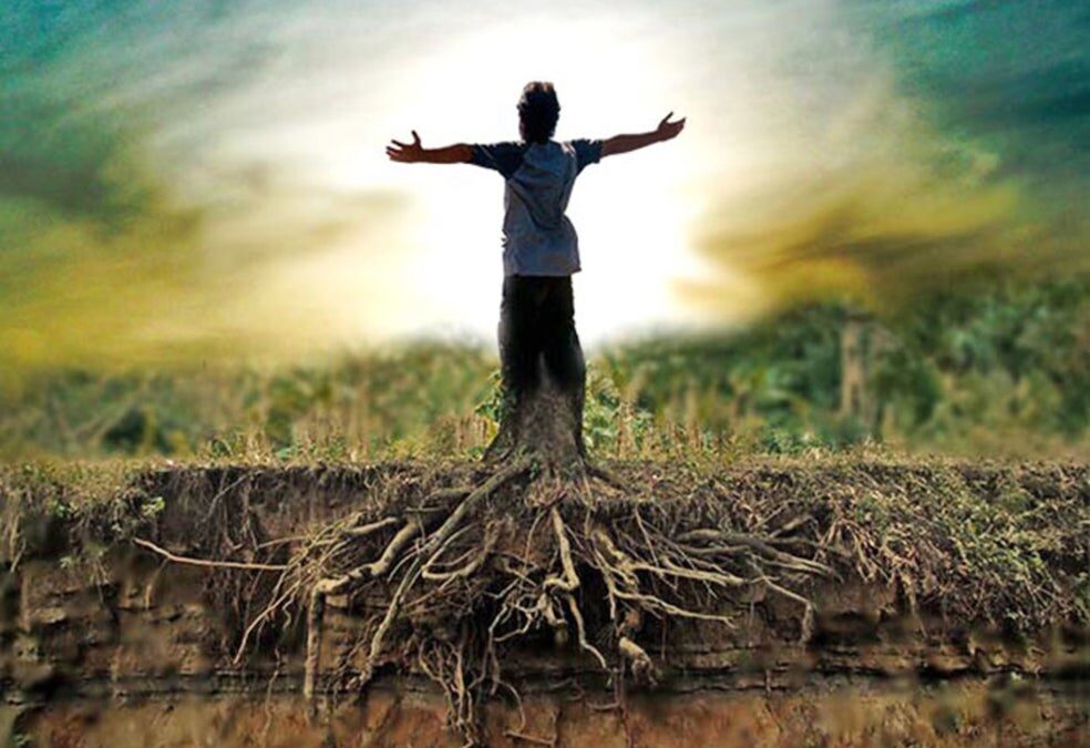 Ako uzemnenie ovplyvňuje ľudský výkon, zdravie a rast rastlín