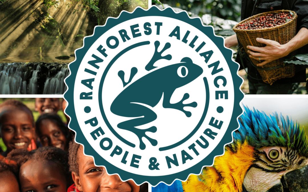 Žabka v potravinách