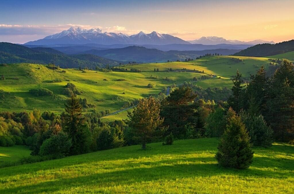 Príroda chráni mozog pred stresom