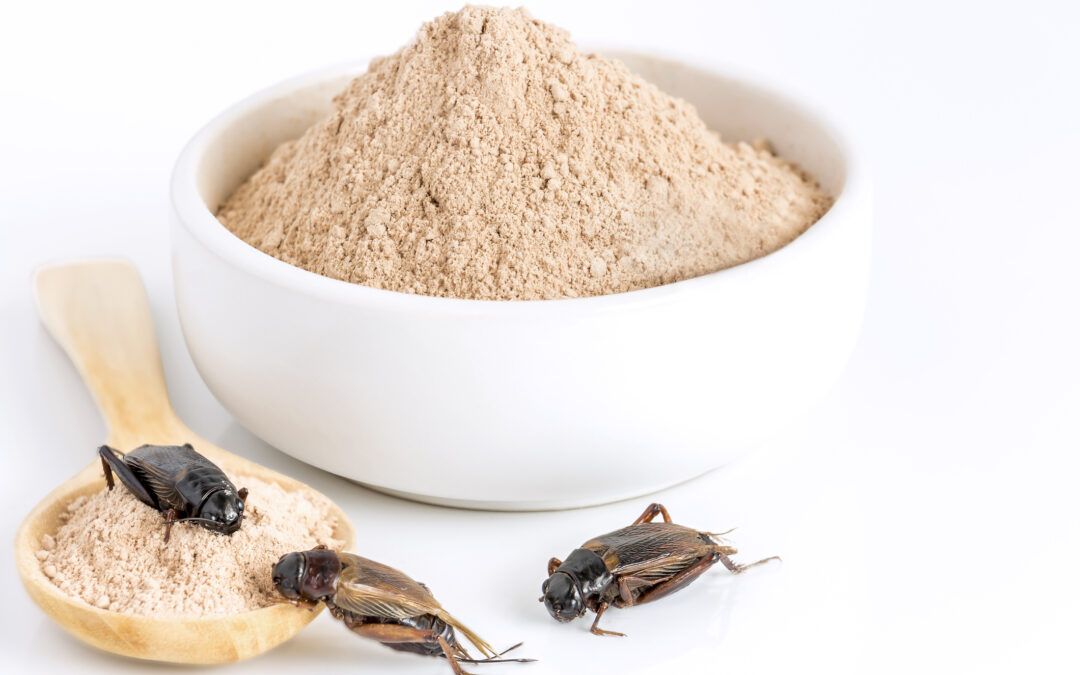 Sme zaplavení potravinami na báze hmyzu, dokonca aj v organických a vegánskych produktoch