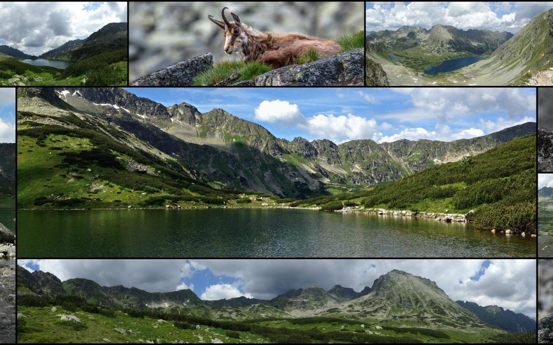 Národné parky Slovenska – naše najcennejšie prírodné územia