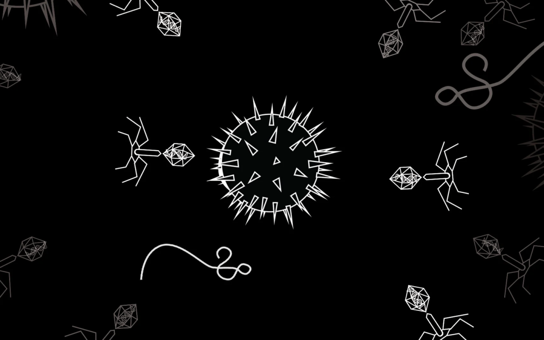 Globalisti pracujú na vytvorení supervírusu skombinovaním covidu, opičích kiahní a HIV