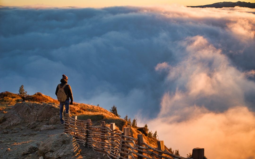 Liečivá sila prírody