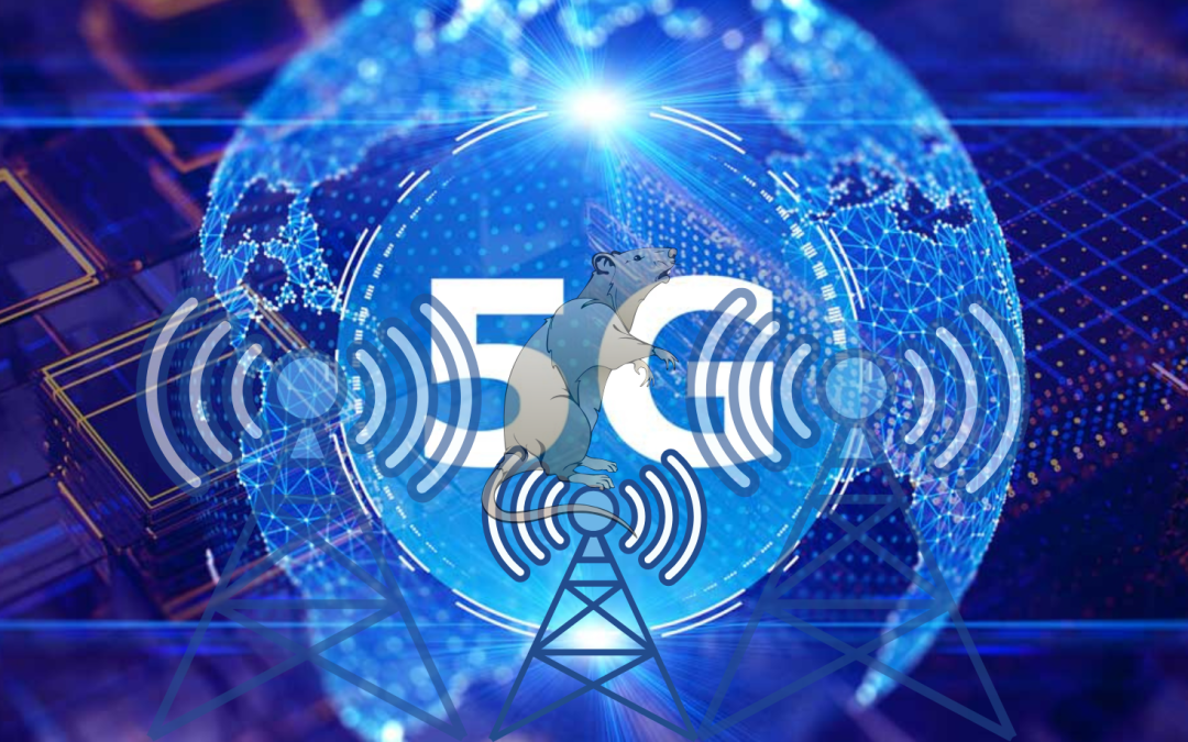 Boli identifikované zmeny v mozgu potkanov v dôsledku 5G žiarenia