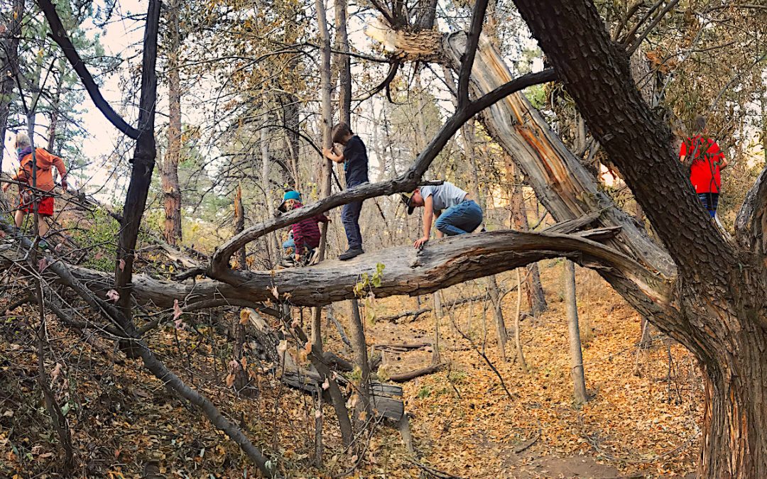 Aby sme deti ochránili, musíme im dovoliť hrať sa spôsobmi, ktoré sa považujú za „nebezpečné“