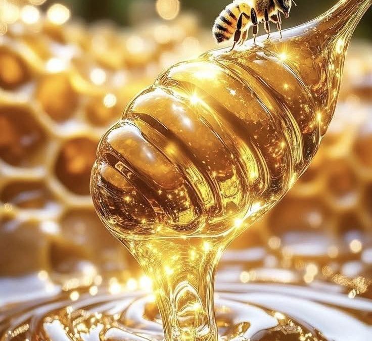 Proč si dovolím chtít odměnu za svou práci